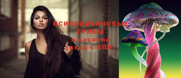 таблы Армянск
